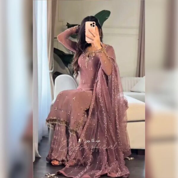 New Designer Collection in Embroidery Work With Fully Stitched Ready to Wear Suit