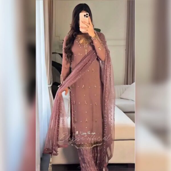 New Designer Collection in Embroidery Work With Fully Stitched Ready to Wear Suit - Image 4